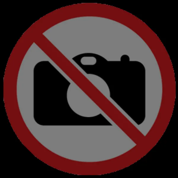 Erzsébet tábor a nevelőszülős gyerekeknek